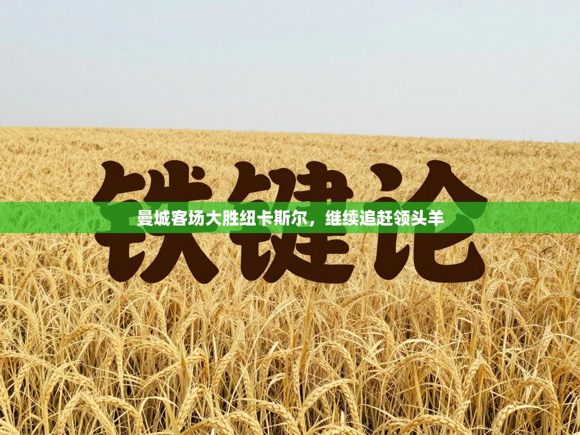 曼城客场大胜纽卡斯尔,继续追赶领头羊 第1张