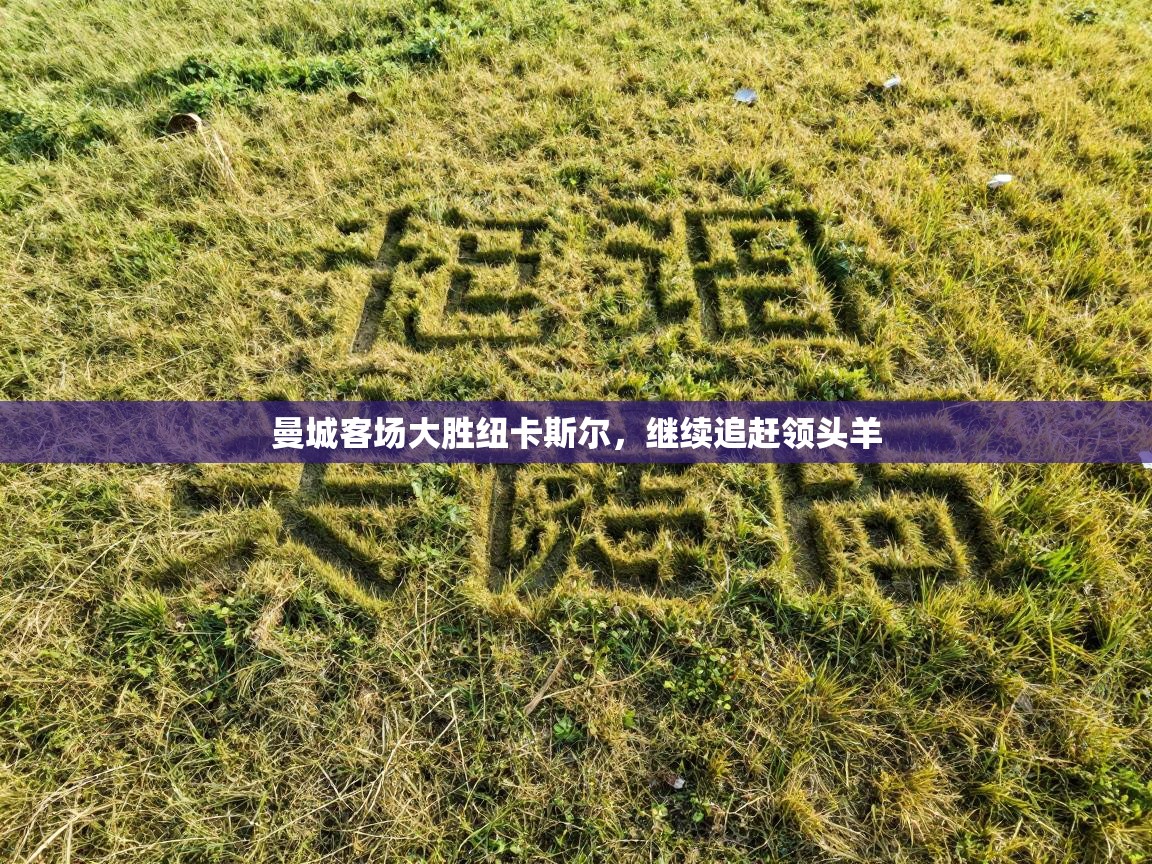 曼城客场大胜纽卡斯尔,继续追赶领头羊 第2张