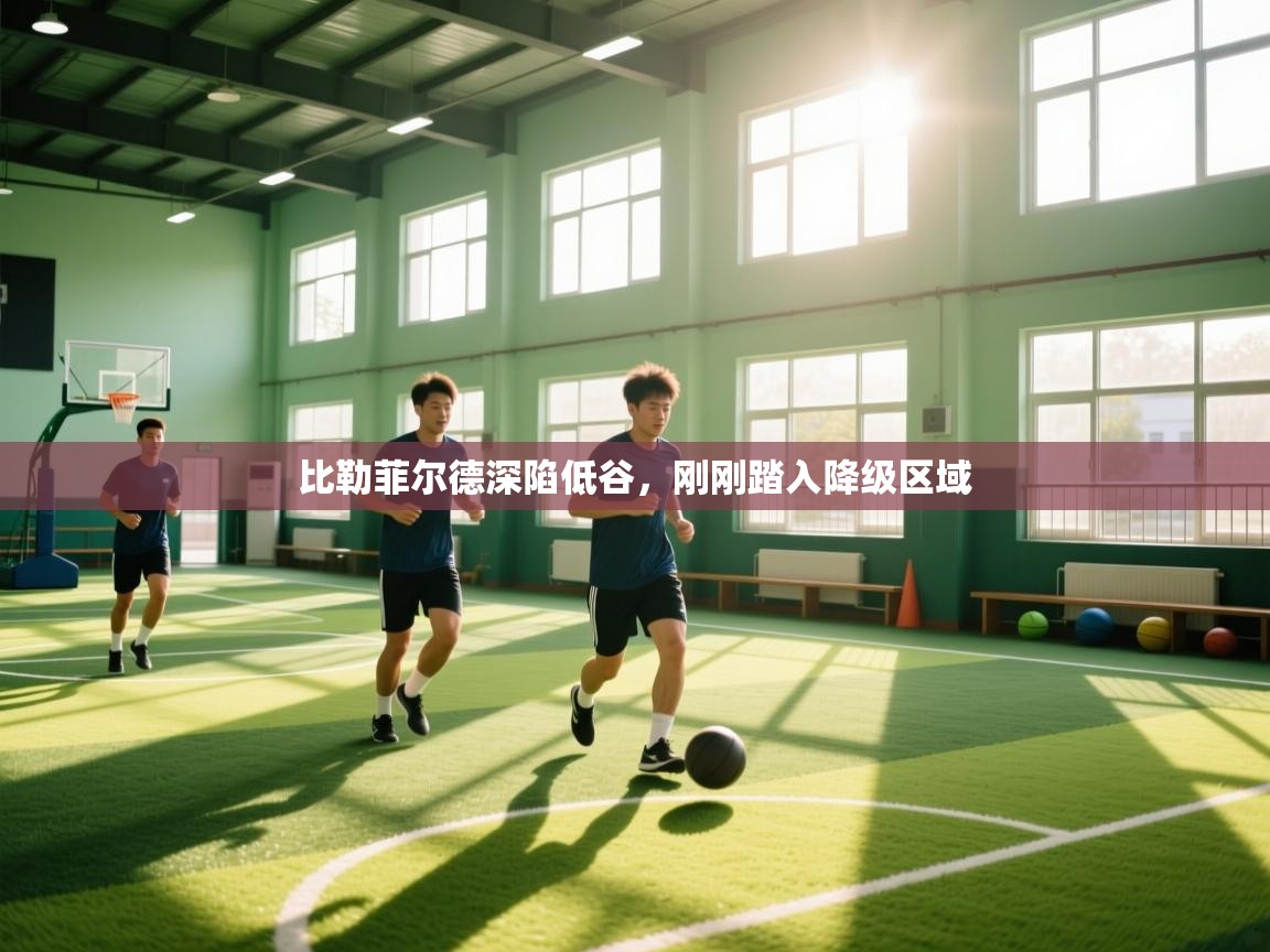 比勒菲尔德深陷低谷,刚刚踏入降级区域 第2张