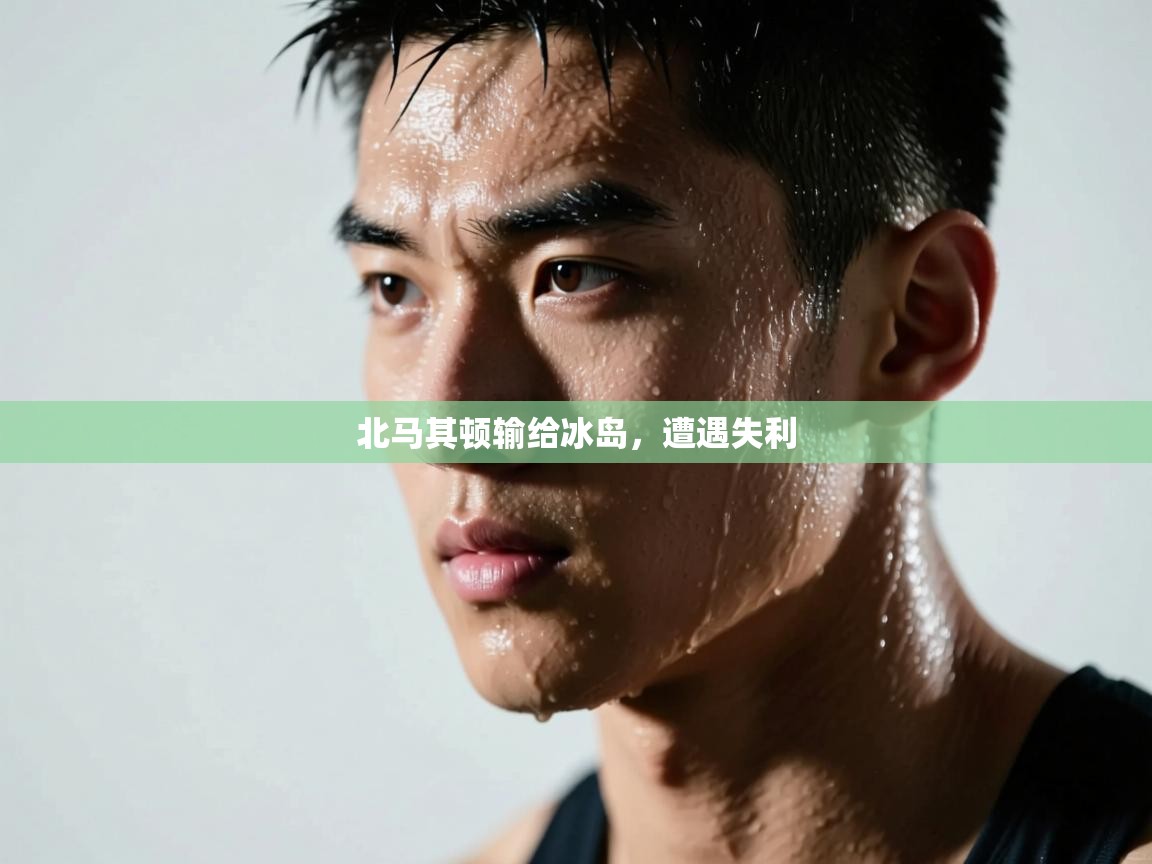 北马其顿输给冰岛，遭遇失利  第1张