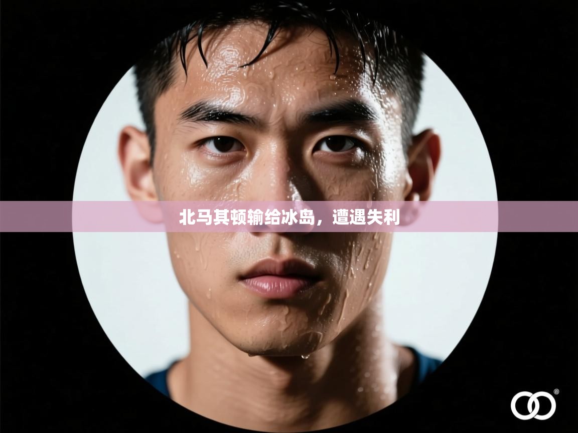 北马其顿输给冰岛，遭遇失利  第2张