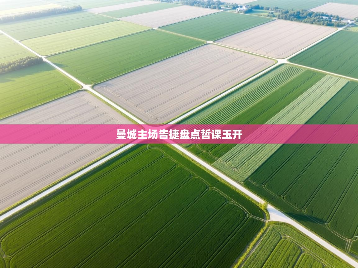 曼城主场告捷盘点哲课玉开  第2张